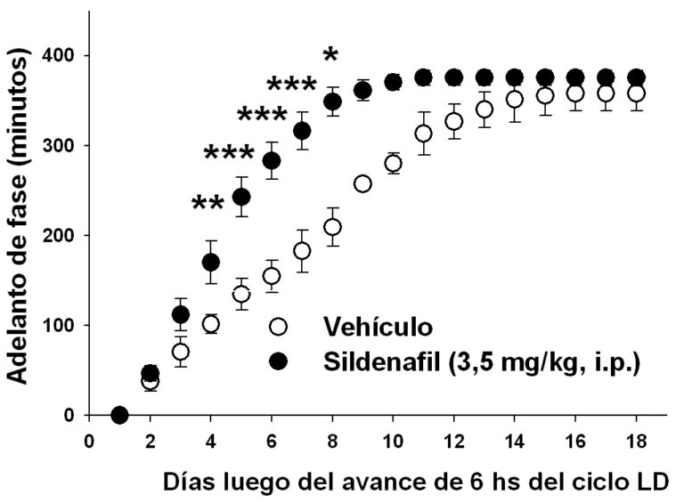 Figura: Efecto del sildenafil en la respuesta al cambio lumínico.
