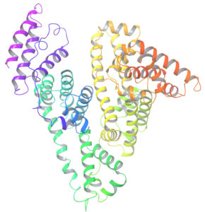 Figura 1: Estructura tridimensional de la proteína de la albúmina humana.:left