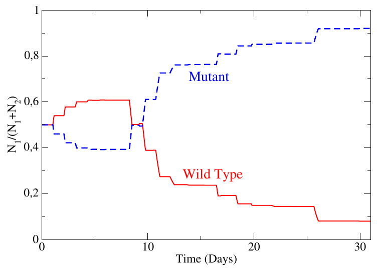 Figura 3: Competición entre las cepas silvestre (línea continua roja) y mutante (línea azul a trazos) para un ciclo externo de 24 horas. Si se agregan 12 minutos de luz por día inicialmente predomina la cepa silvestre pero la cepa mutante se impone a partir del día 8.