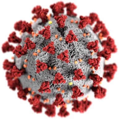 Morfología exhibida por coronavirus. Fuente: CDC/ Alissa Eckert, MSMI; Dan Higgins, MAMS.:left
