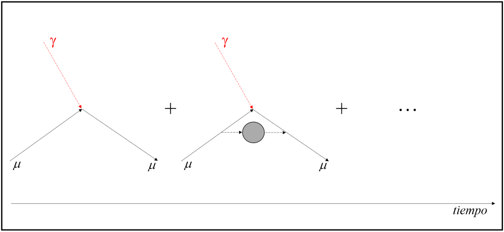 Representación del acoplamiento de los muones (µ) y los fotones (̉γ) que constituyen el campo magnético externo, lo que incluye las correcciones cuánticas debido al intercambio de distintas partículas virtuales.